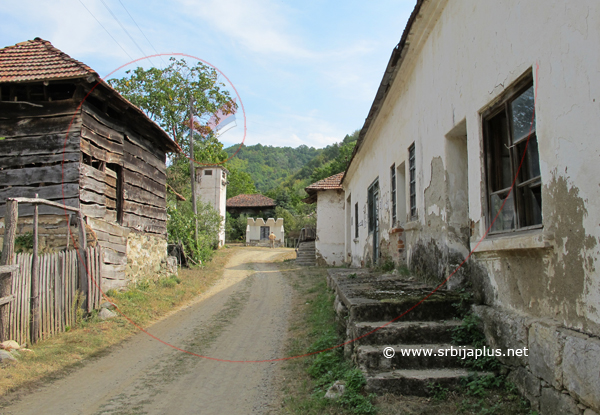 Papratna, centar sela, Knjaževac