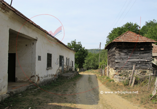 Papratna, zadružni dom, Knjaževac