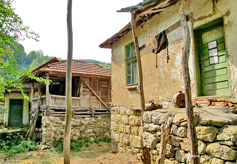 Papratna, kućni prag, Knjaževac