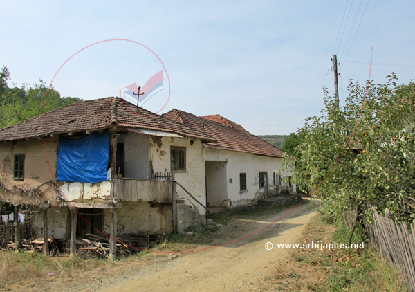 Papratna, centar sela, Knjaževac