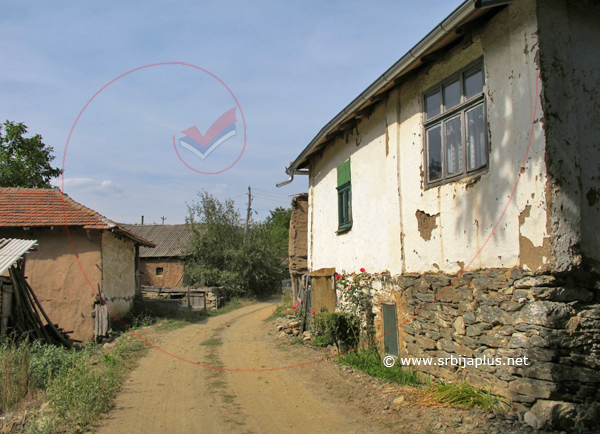 Papratna, Knjaževac