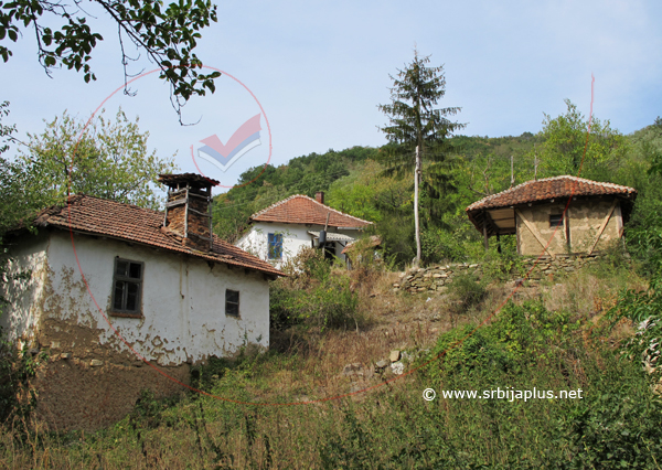 Papratna, stari dimnjak, Knjaževac