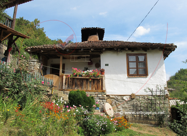 Papratna, Knjaževac