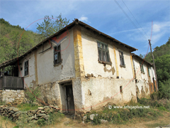 Papratna, Knjaževac