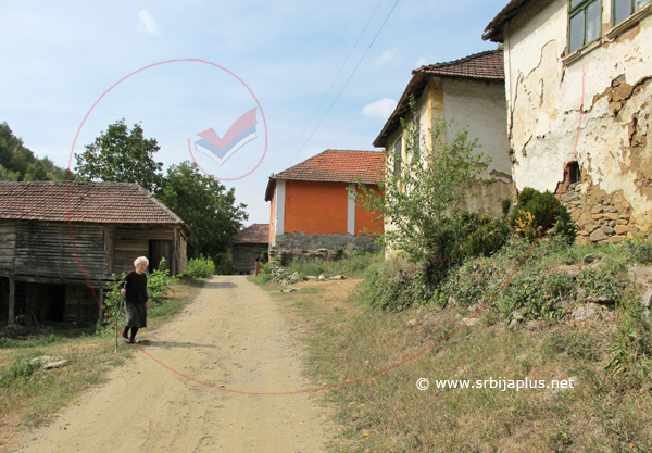 Papratna, Knjaževac