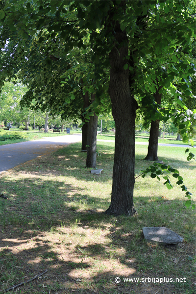 Park prijateljstva