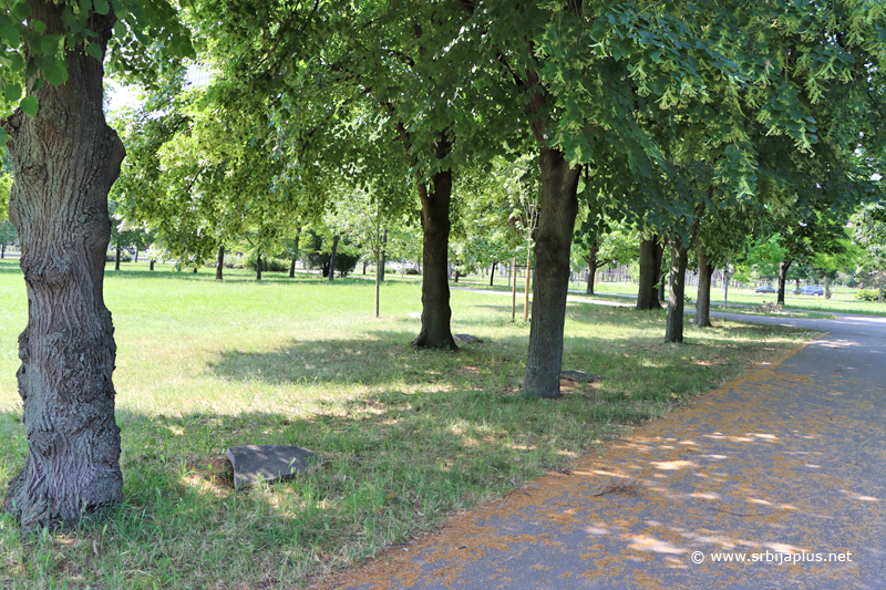 Park prijateljstva u Novom Beogradu