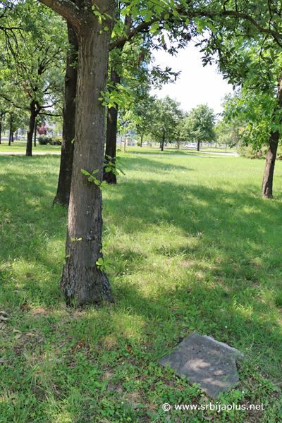 Park prijateljstva