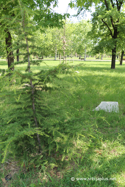 Park prijateljstva