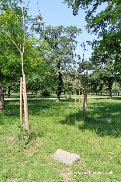 Park prijateljstva