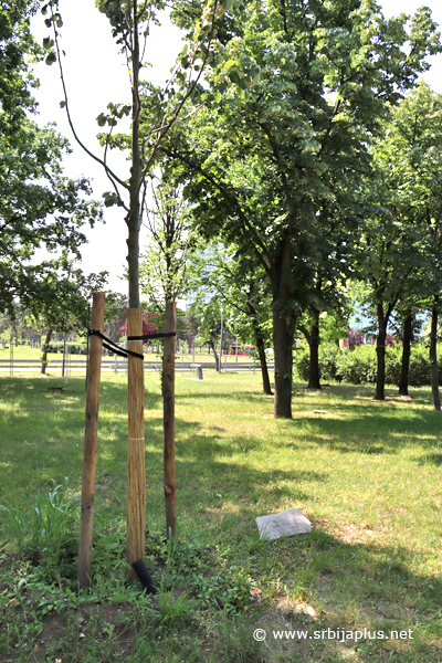 Park prijateljstva