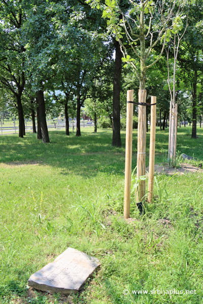 Park prijateljstva