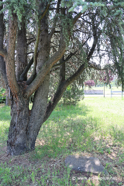 Park prijateljstva