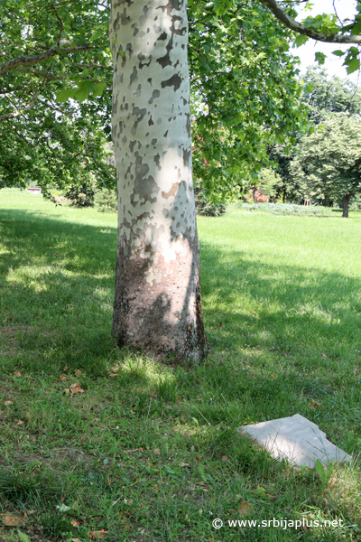 Park prijateljstva