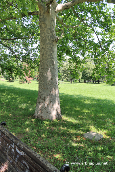 Park prijateljstva