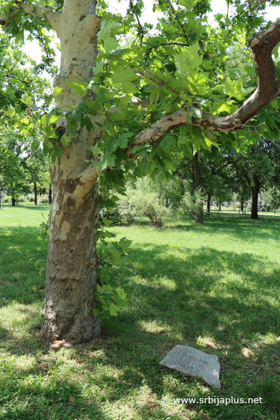 Park prijateljstva