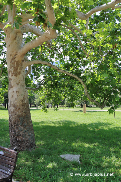 Park prijateljstva
