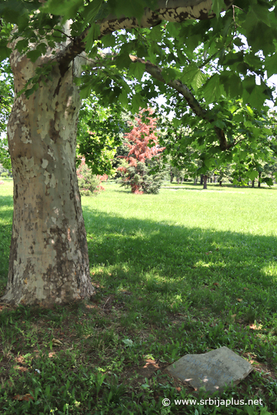 Park prijateljstva