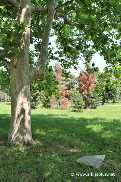 Park prijateljstva
