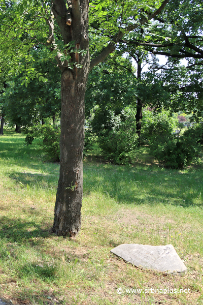 Park prijateljstva