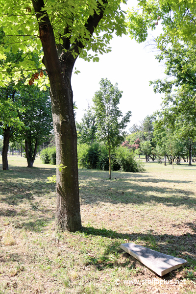 Park prijateljstva