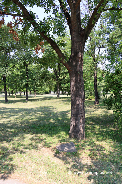 Park prijateljstva