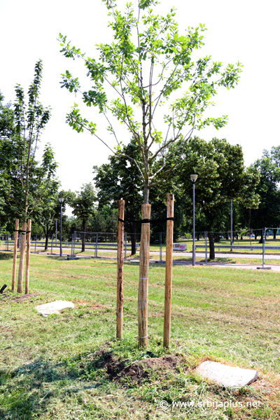 Park prijateljstva