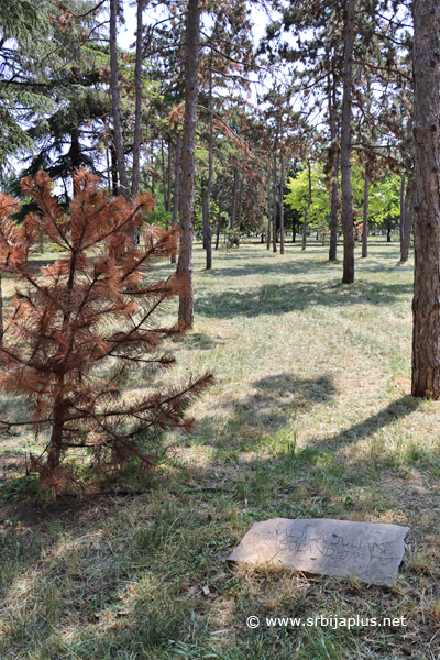 Park prijateljstva