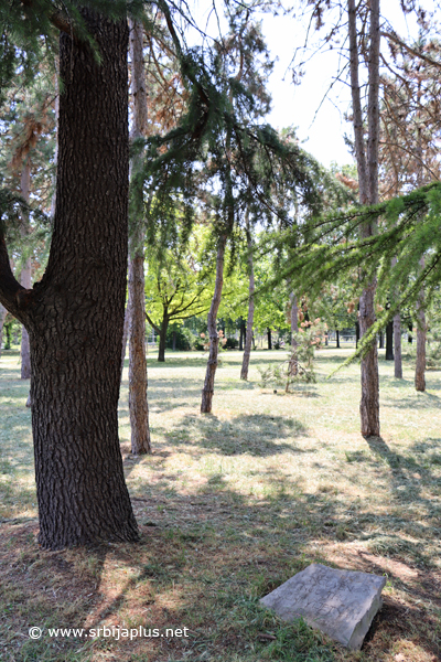 Park prijateljstva