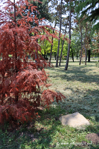 Park prijateljstva
