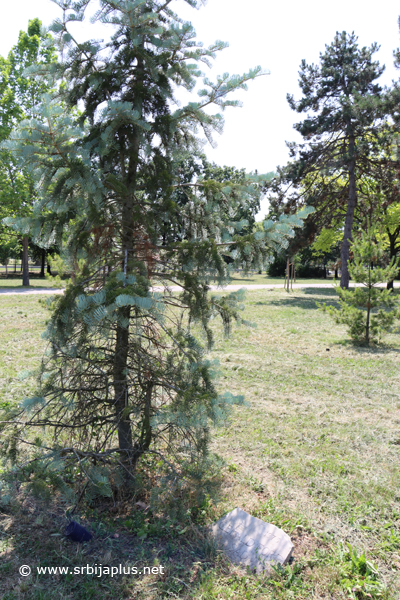 Park prijateljstva