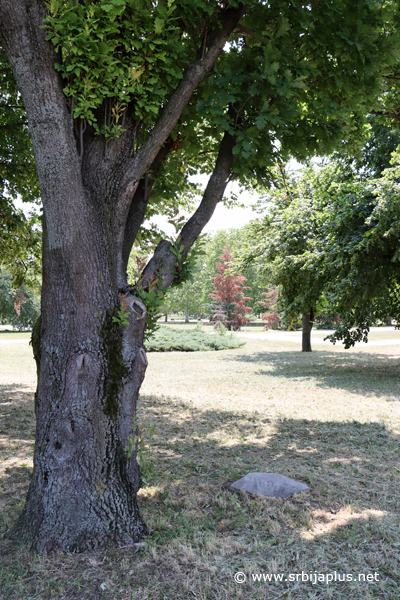 Park prijateljstva