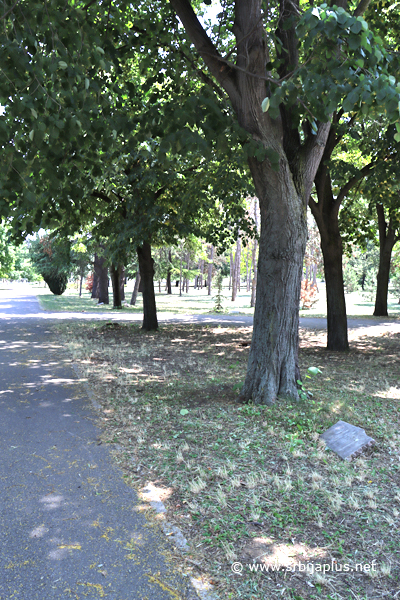 Park prijateljstva