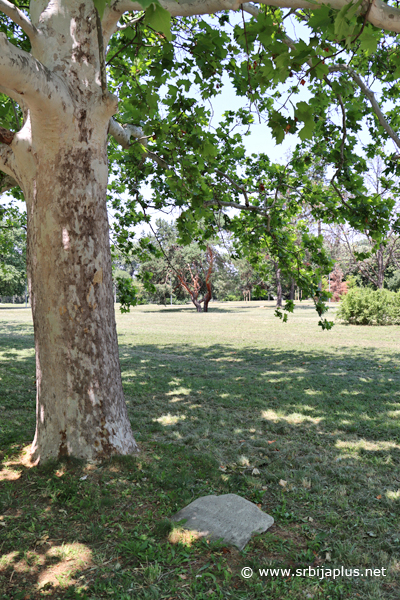 Park prijateljstva