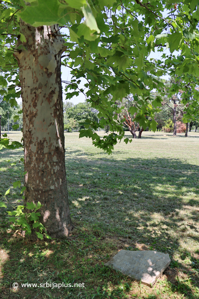 Park prijateljstva
