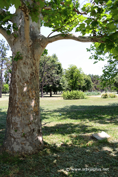 Park prijateljstva