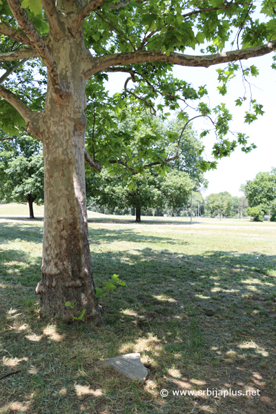 Park prijateljstva