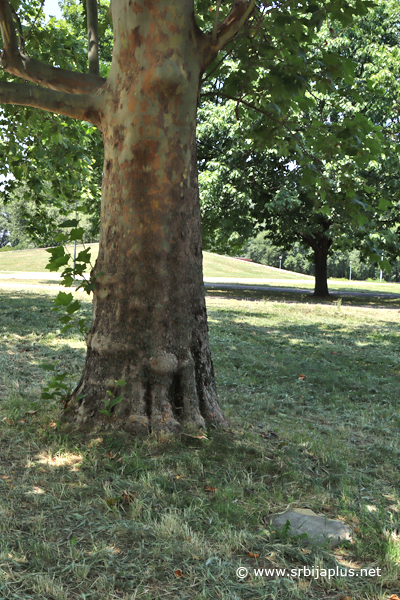 Park prijateljstva