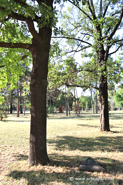 Park prijateljstva
