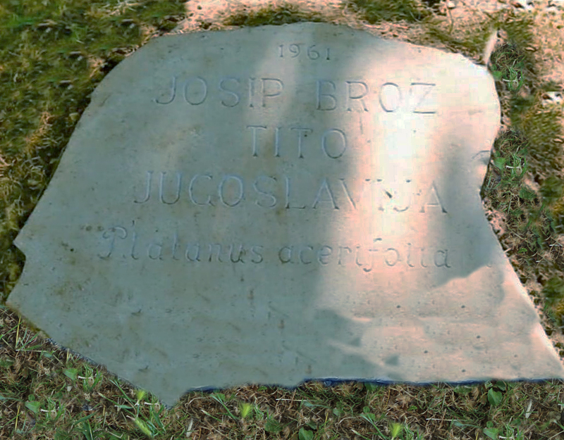 Prvo stablo u Parku prijateljstva posadio je Josip Broz Tito