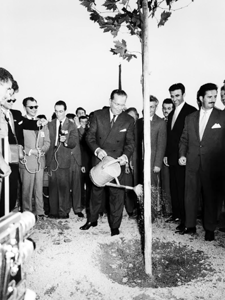 Prvo stablo u Parku prijateljstva posadio je Josip Broz Tito