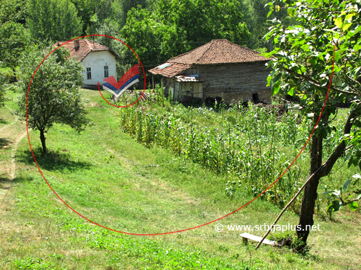 Kuća, staja i klupa, Petačinci, Dimitrovgrad