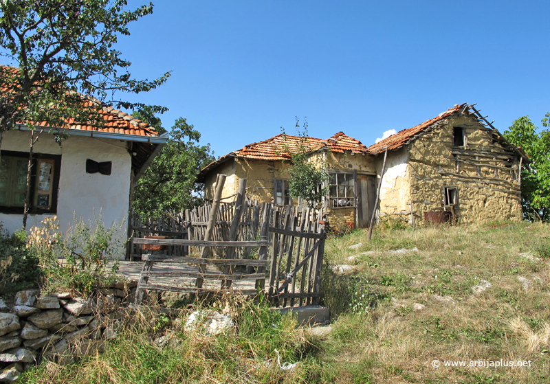 Dvorište porodice Rangelov, Planinica, Dimitrovgrad