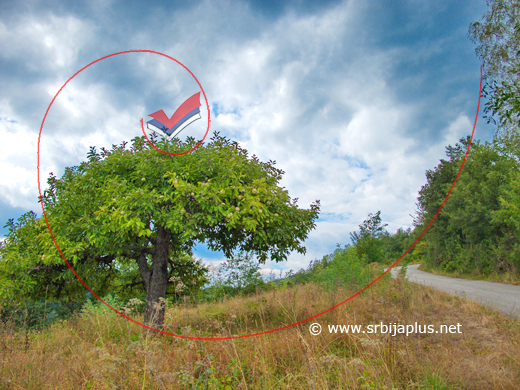 Na putu za Klokoč i vrh Pogled, Arilje