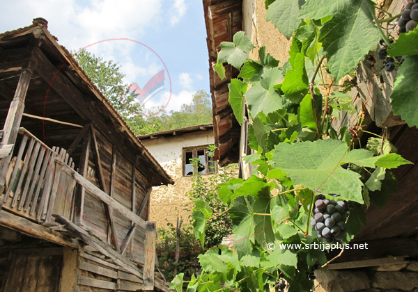 Repušnica, seosko dvorište s vinjagom