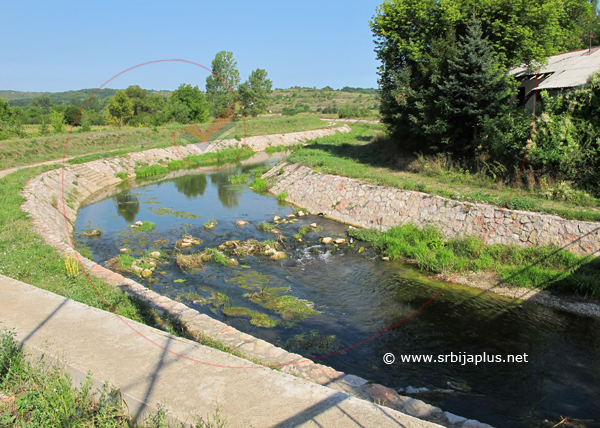 Svrljiški Timok, Knjaževac