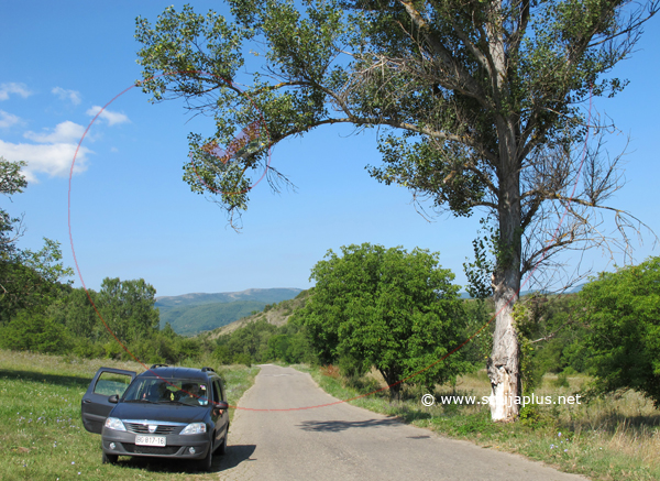 Banjica, Knjaževac