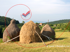 Vlaške Njive, visoki zaseok Sakara, selo Sakar, Mali Zvornik Vlaške Njive, visoki zaseok Sakara, selo Sakar, Mali Zvornik