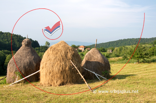 Vlaške Njive, visoki zaseok Sakara, Mali Zvornik