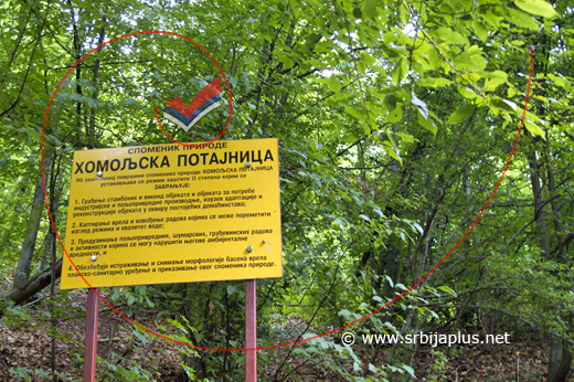 Tabla kraj Homoljske potajnice, Žagubica